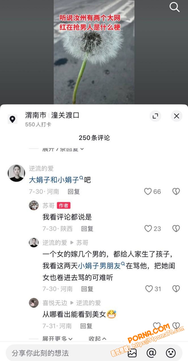 汝州网红 大娟子 两婚五...（12）