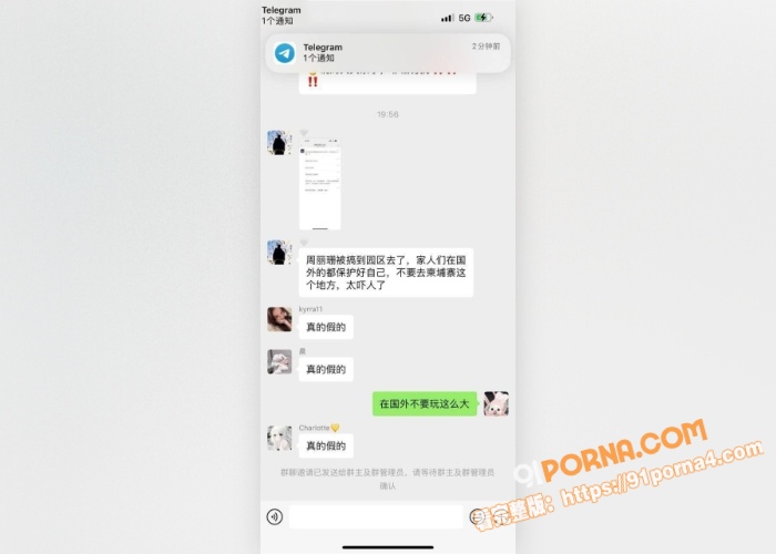 百万粉丝网红周丽珊 绑架...（14）
