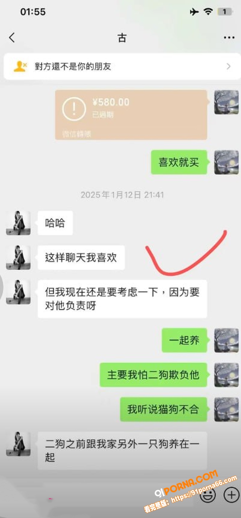 抖音31万粉网红 星星稀...（23）