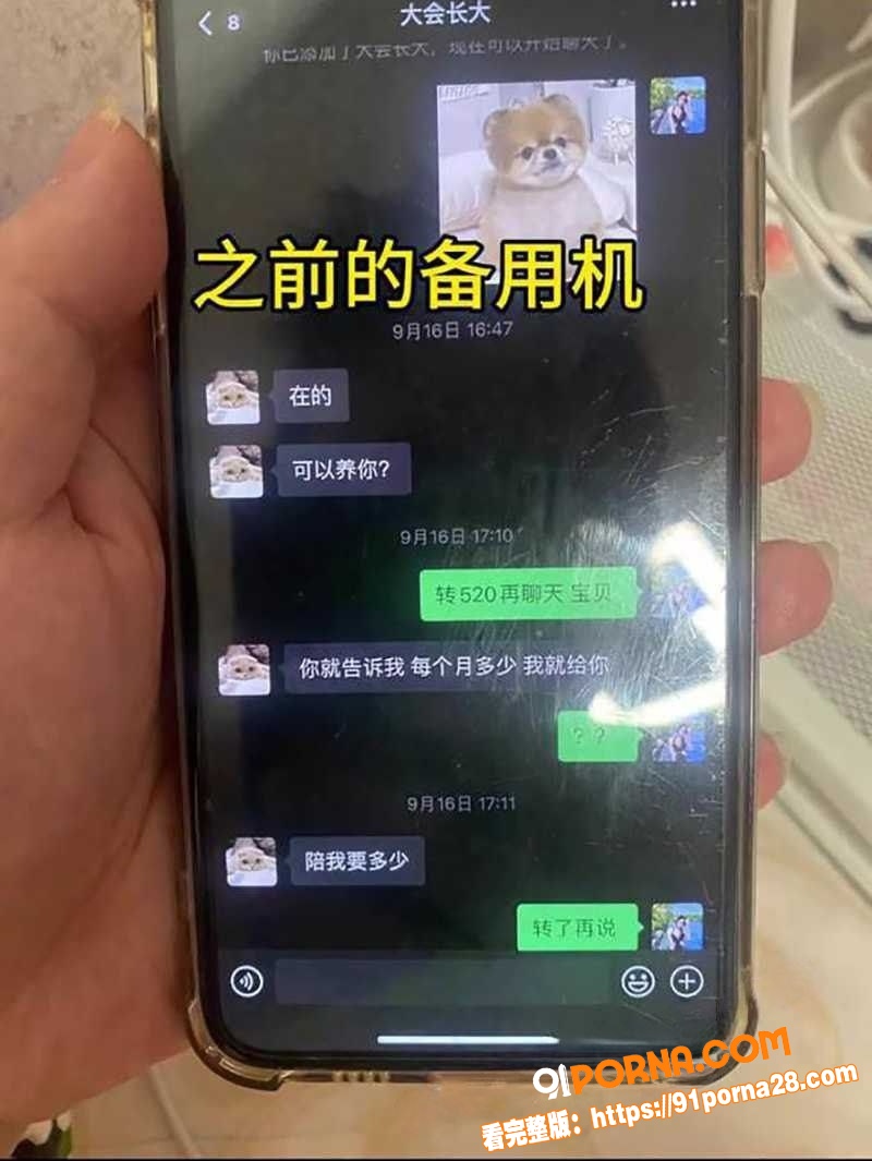 三年感情输给了300W的...（19）