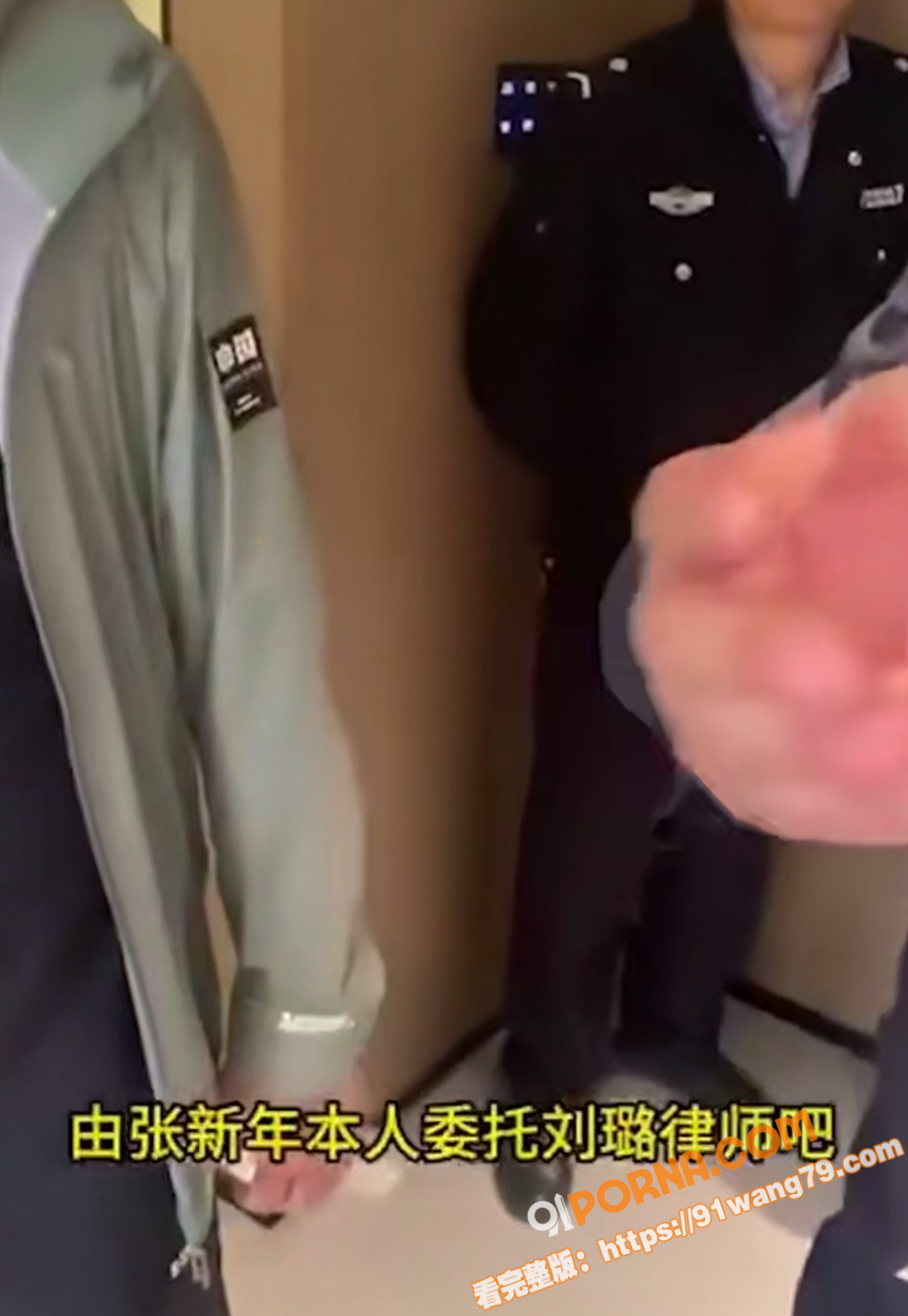 北京著名刑辩律师 张新年...（11）