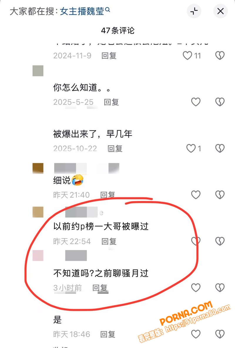 百万粉女主播 魏莹 宁让...（38）