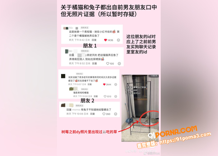 抖音400万粉网红 树莓...（15）