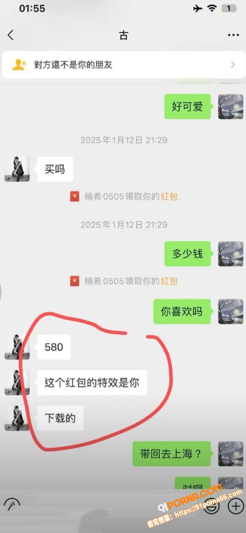 抖音31万粉网红 星星稀...（21）