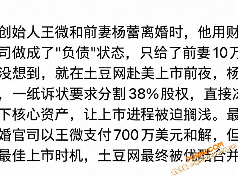 土豆网创始人 王微 黑历...（13）