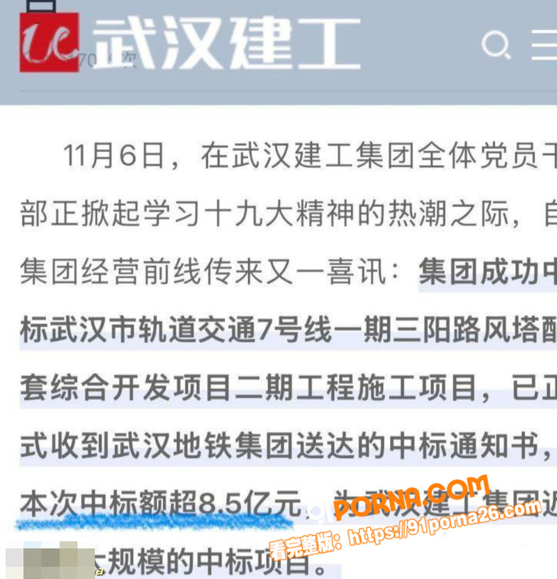武汉前市长 周先旺 巨额...（4）