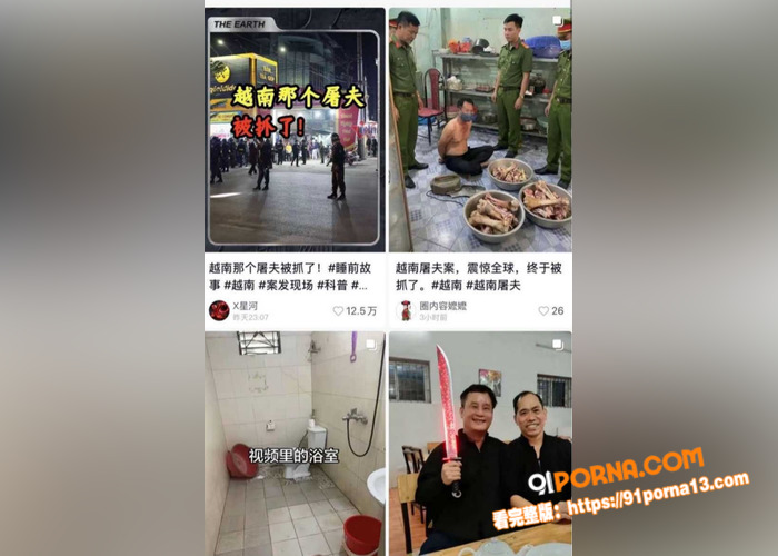 越南屠夫惊天后续！落网真...（8）