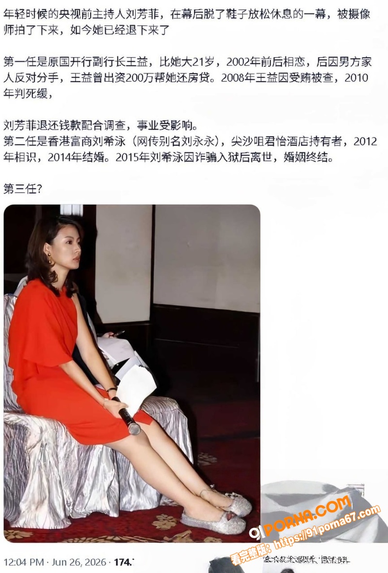 前央视春晚主持人 刘芳菲...（18）