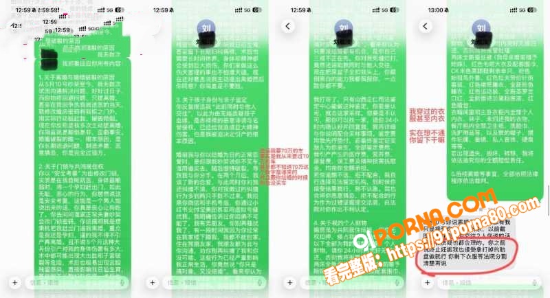 抖音网红 丸子玥 插足他...（18）