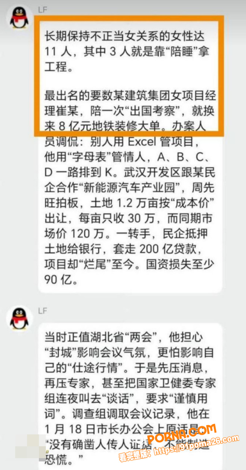 武汉前市长 周先旺 巨额...（20）