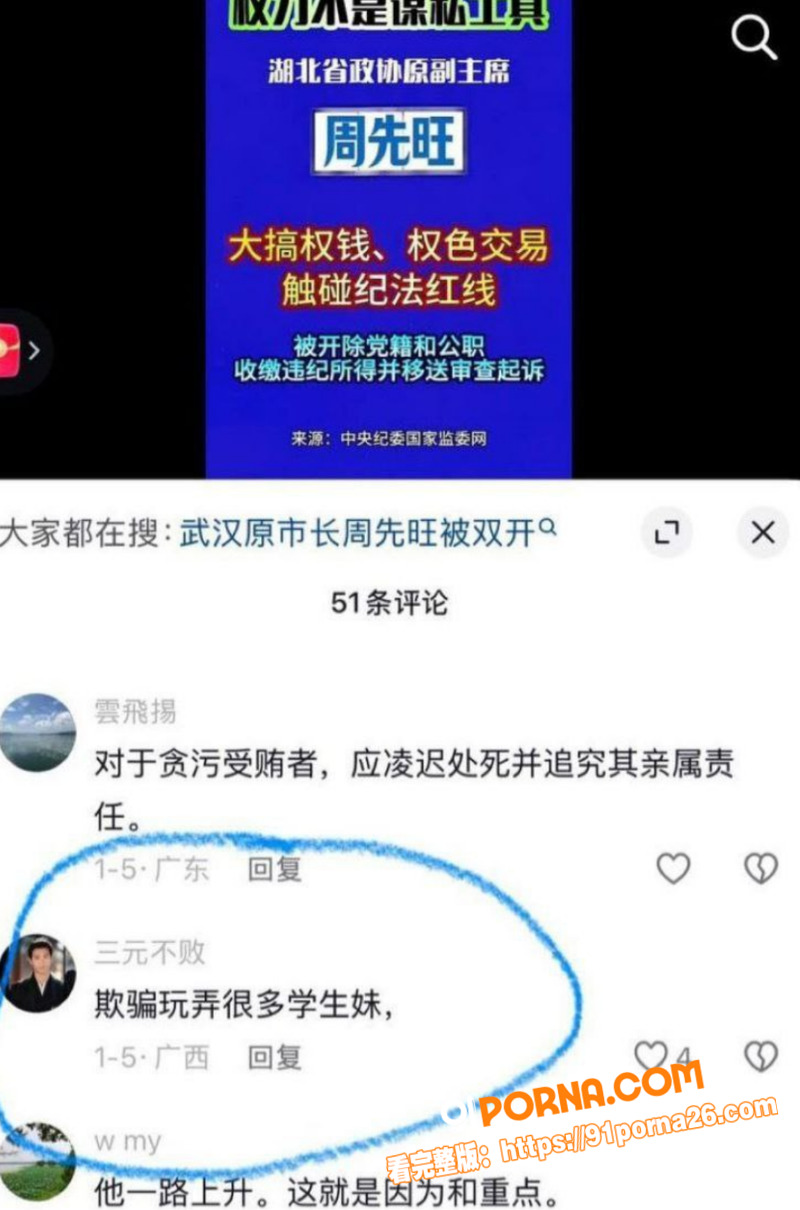 武汉前市长 周先旺 巨额...（5）
