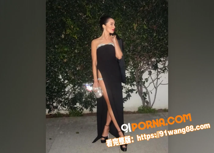 美国好莱坞女星 阿比盖尔...（3）