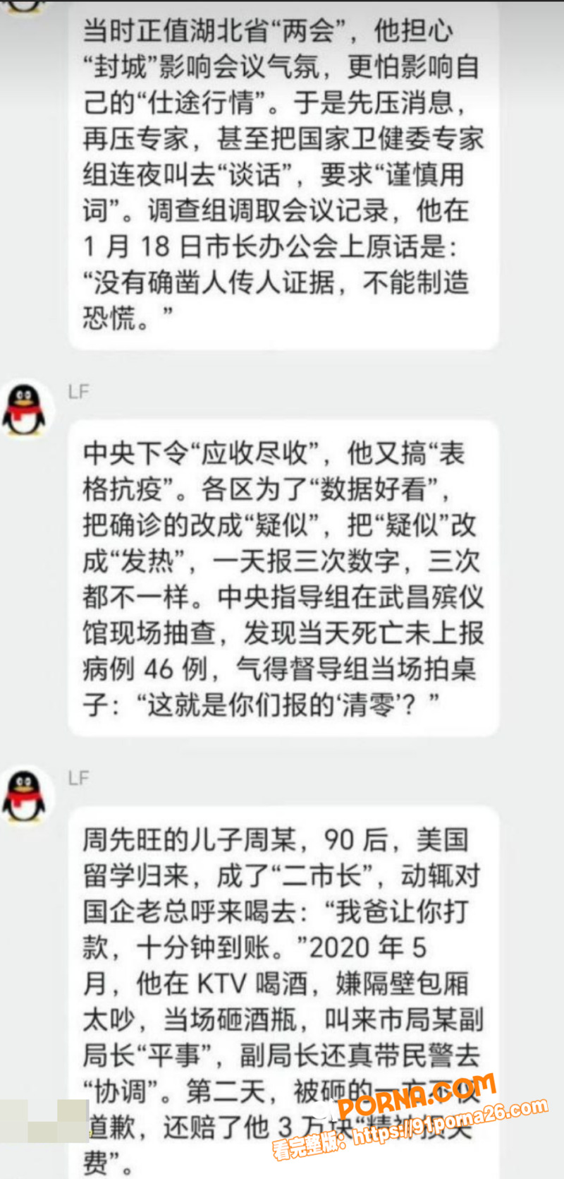 武汉前市长 周先旺 巨额...（21）