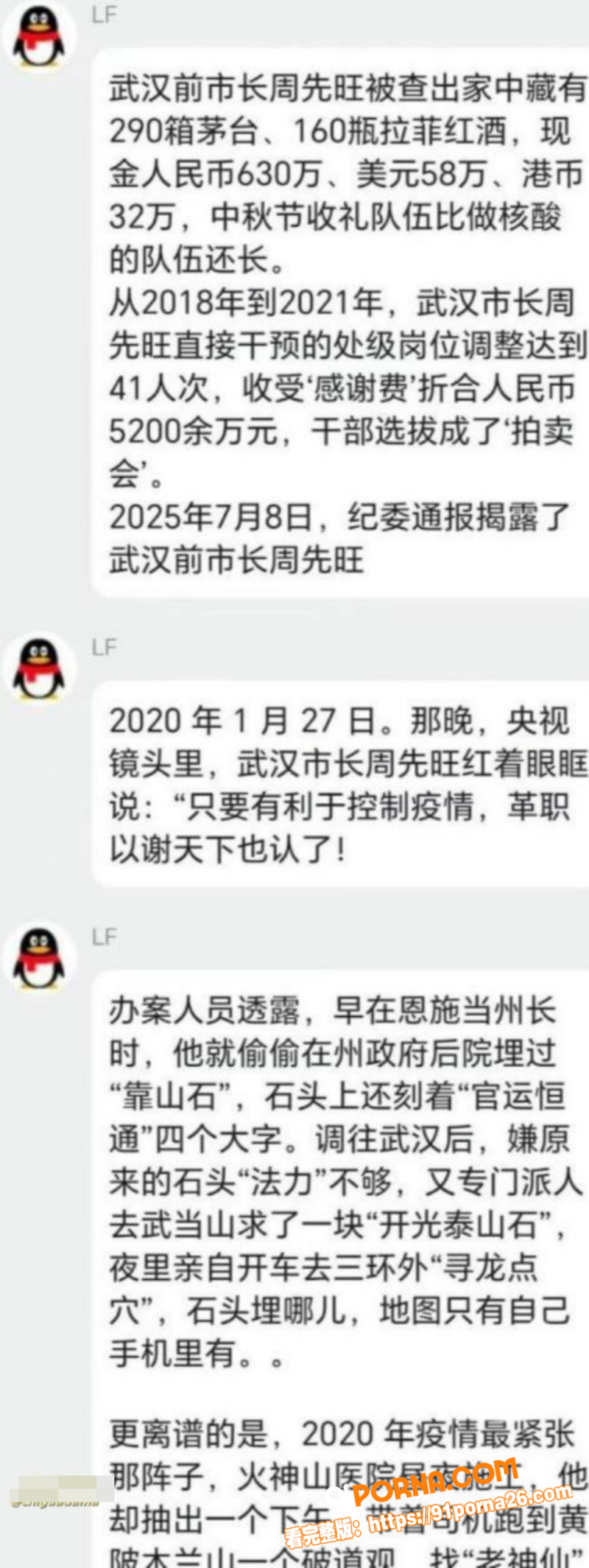 武汉前市长 周先旺 巨额...（8）