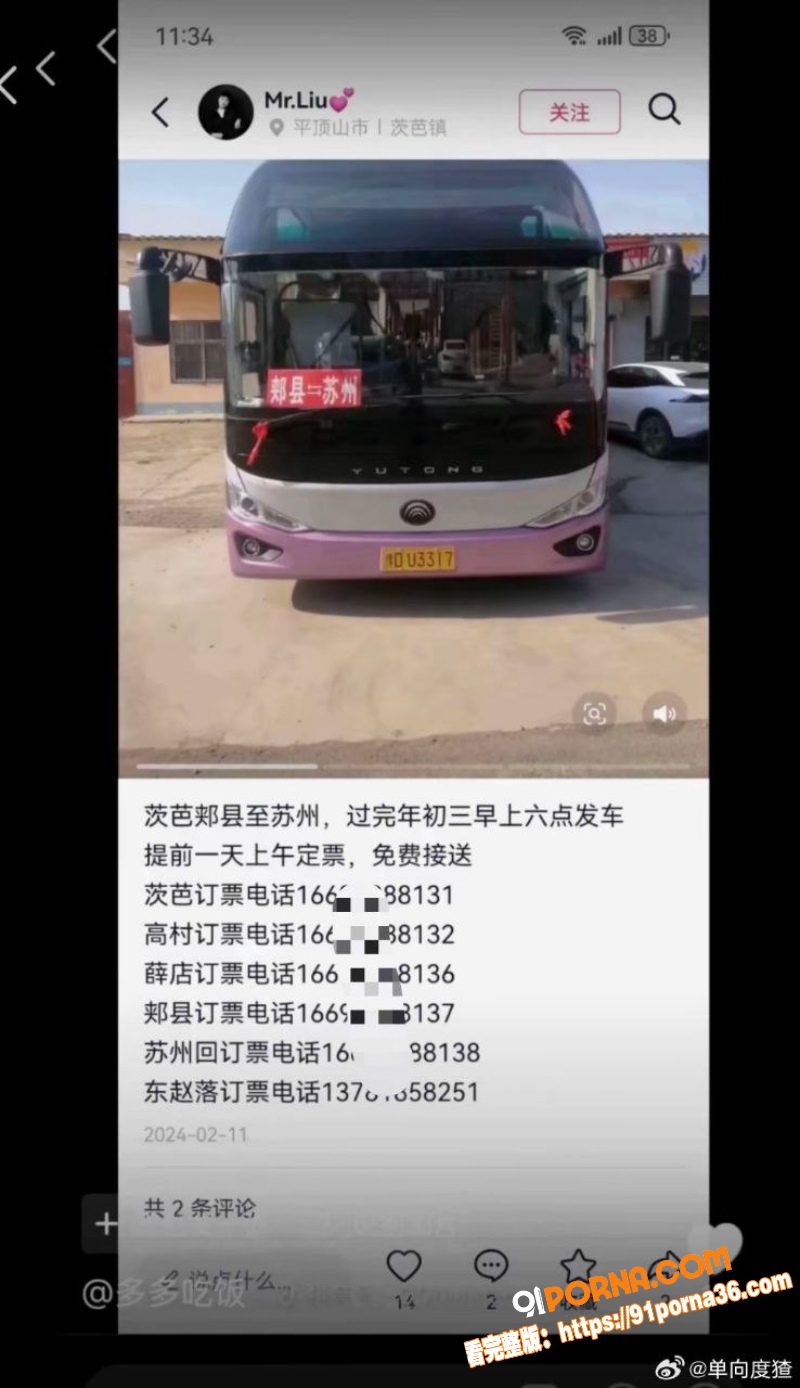 河南平顶山街头惨案 成年...（10）