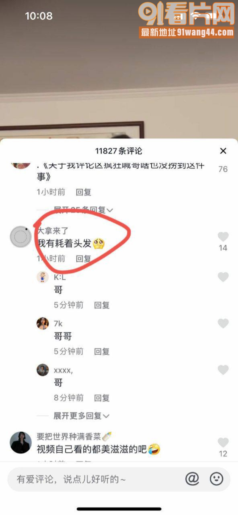 抖音百万网红 沈阳名媛 ...（8）