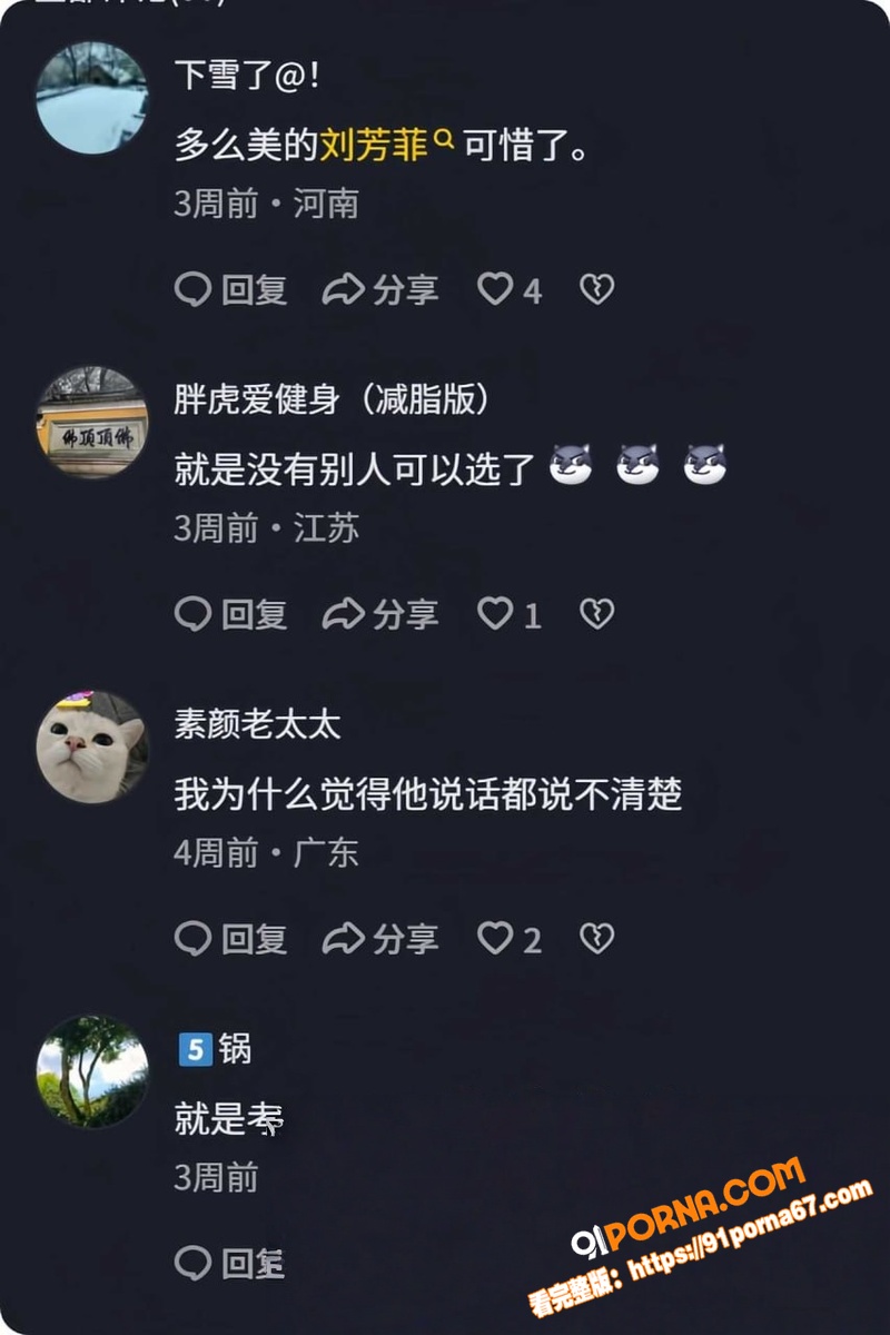 前央视春晚主持人 刘芳菲...（19）