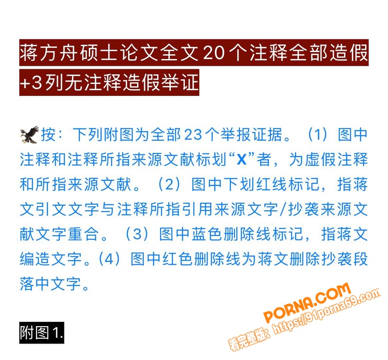 清华教授 肖鹰 实名举报...（24）