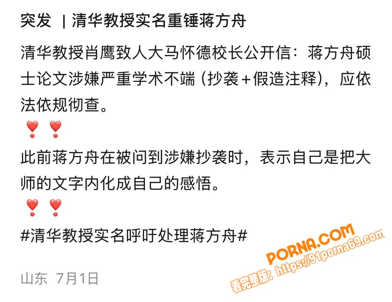 清华教授 肖鹰 实名举报...（13）