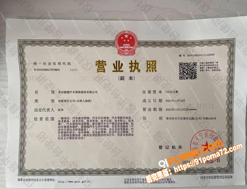 顶流车评网红 懂车大伟 ...（2）