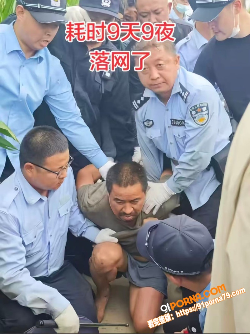河南西平7.30命案告破...（5）