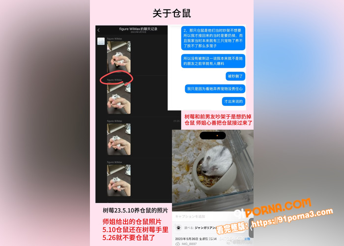 抖音400万粉网红 树莓...（16）
