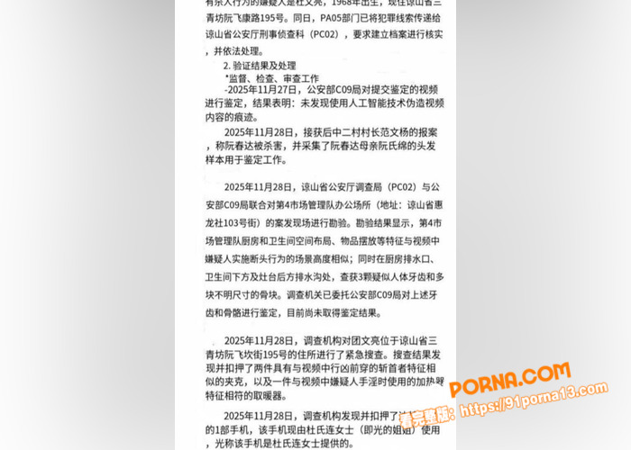 越南屠夫惊天后续！落网真...（2）