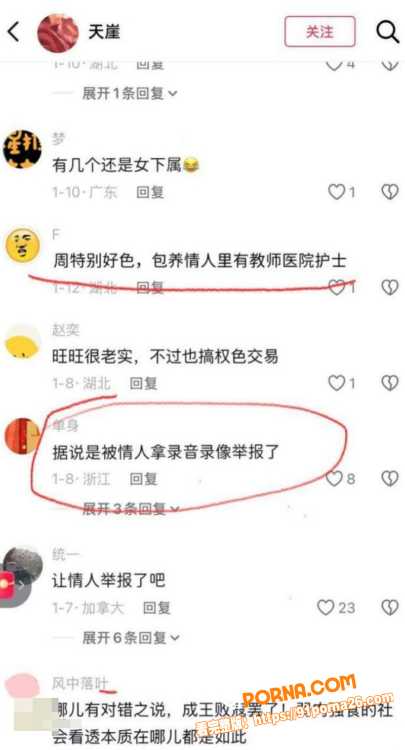 武汉前市长 周先旺 巨额...（9）