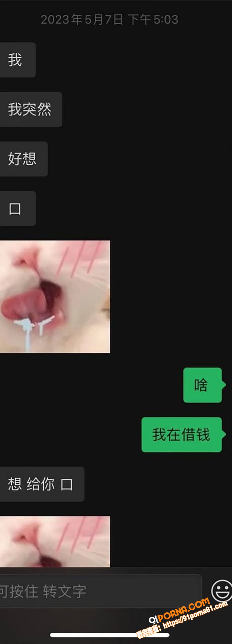 深情祖师爷 童锦程 未婚...（6）