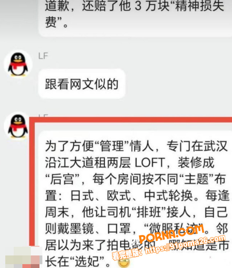 武汉前市长 周先旺 巨额...（13）