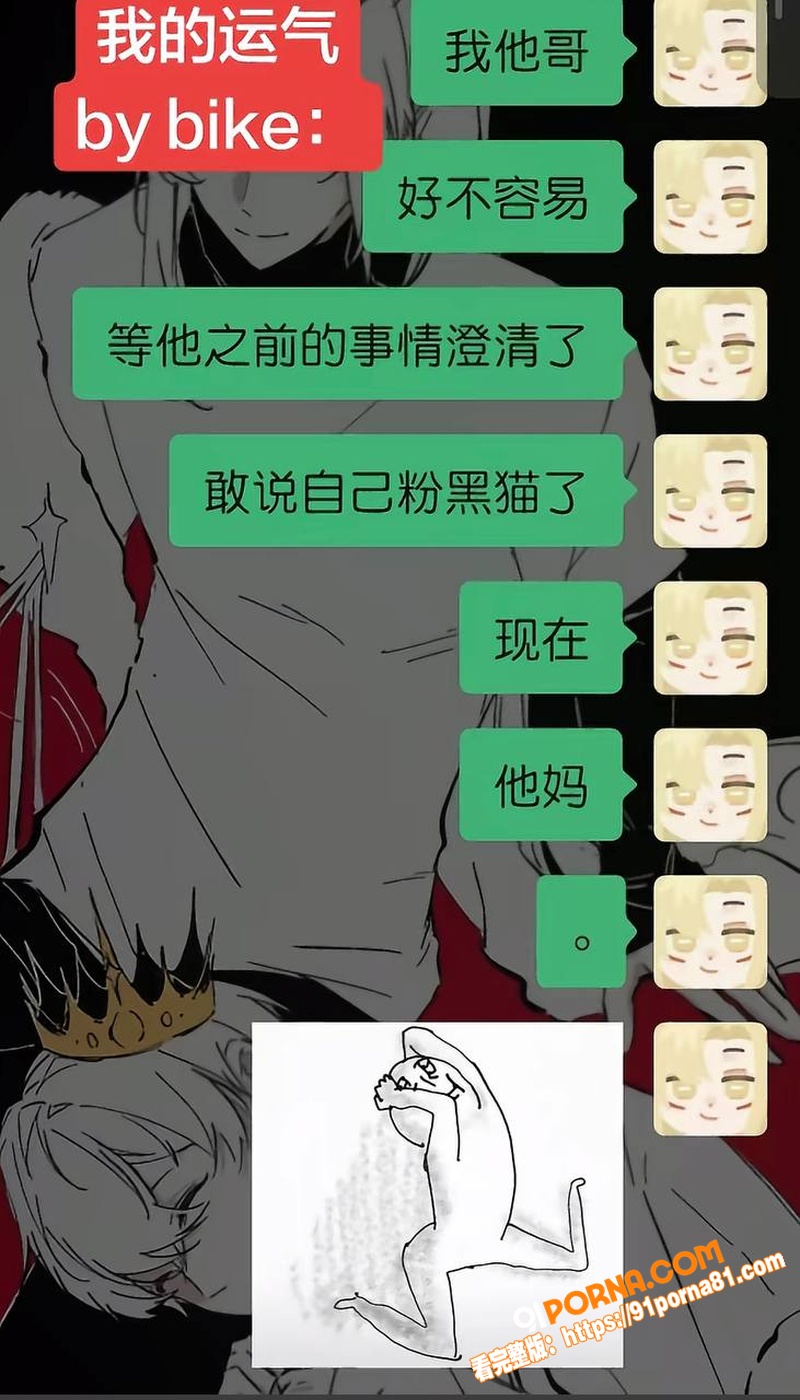 百万UP主 黑猫大少爷 ...（17）